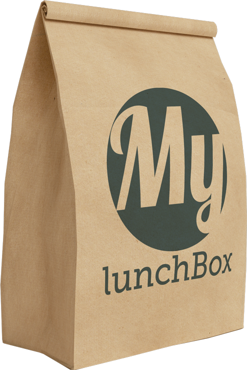 La Ghiacciaia Mini Blocchi Riutilizzabili Per Congelatore Di Ghiaccio Da Viaggio Per Picnic Pranzo Scatole Borse Refrigeranti Ghiaccio Per Borsa Frigo